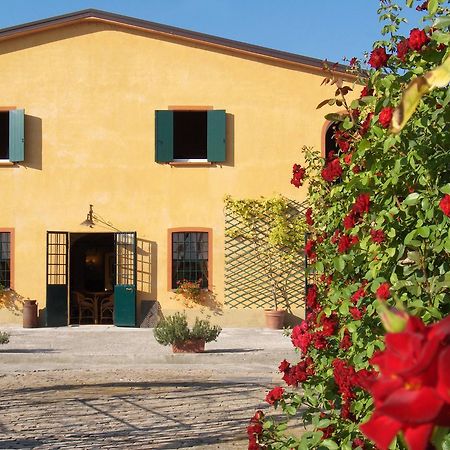 Agriturismo Le Colombaie Busseto Exterior foto